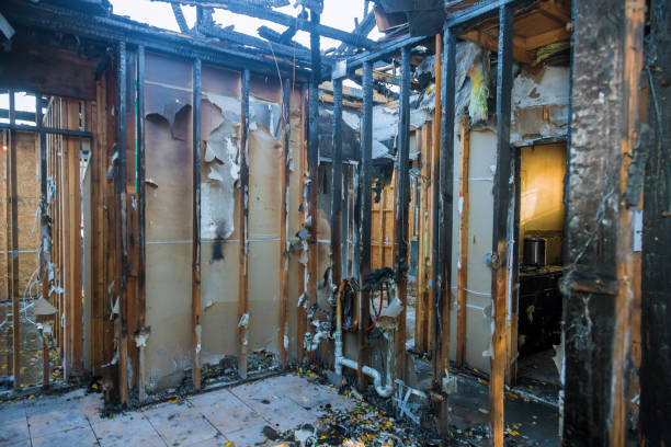 Professional Fire Damage Removal technician working in Duenweg, MO